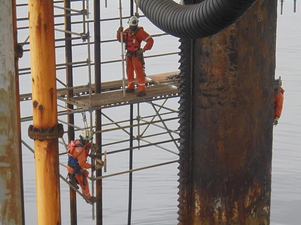 Our team of highly skilled and dedicated Experts